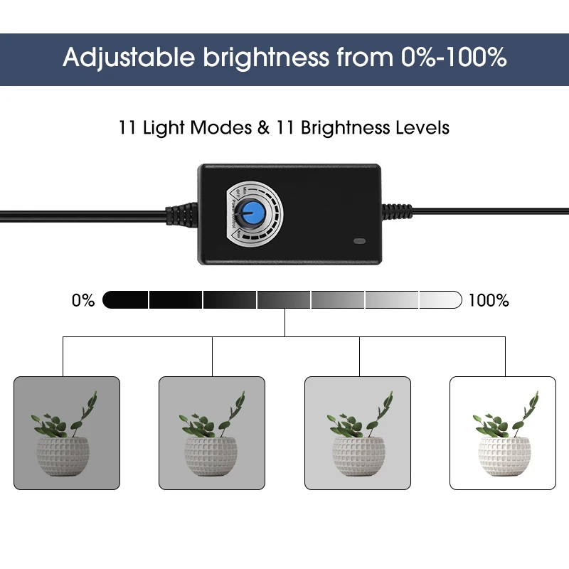 lightbox infos en long